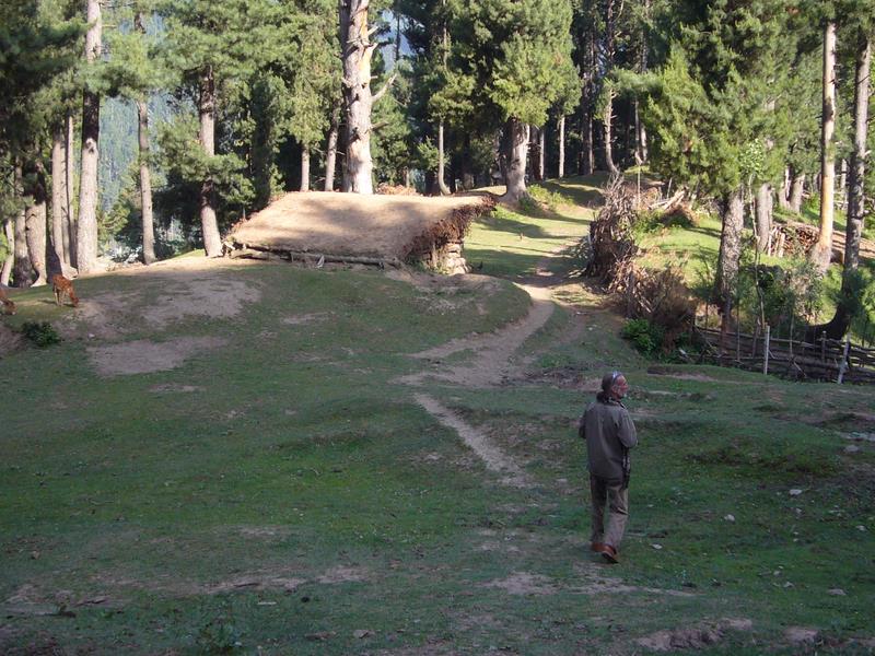 Travel - India - Kashmir - Pahalgam - Around Bentes Lodge